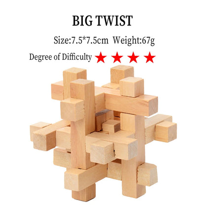 Wooden IQ Brain Teaser, Montessori 3D Puzzles