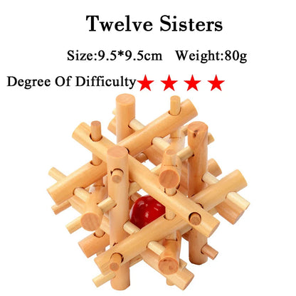 Wooden IQ Brain Teaser, Montessori 3D Puzzles